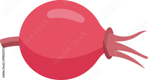 Red radish with green leaves vegetable root vegetable