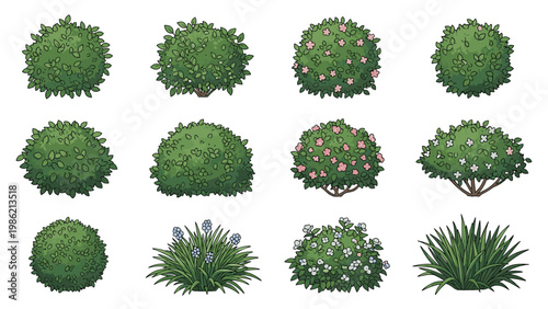 Set of twelve diverse garden bushes and shrubs in various green tones and shapes, some with delicate white and pink flowers.