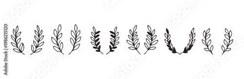 Rustic leaf branch borders set decorative hand drawn plant frames for botanical stationary art