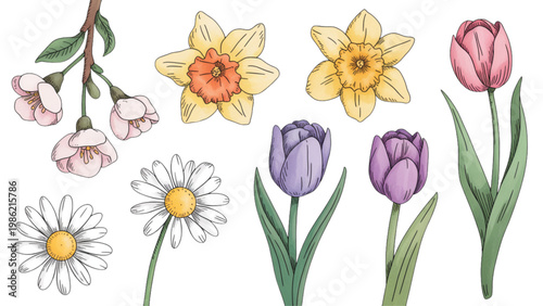 Colorful bouquet of hand-drawn flowers in a loose arrangement Vector