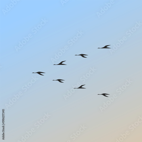 Skein of geese flying high in the sky vector illustration. Migration group of geese cruising up in the sky high graphic art asset