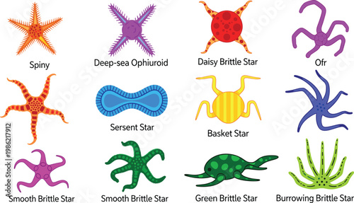 Meteorology and Weather Forecasting Equipment Set with Thermometer, Anemometer, and Weather Icons