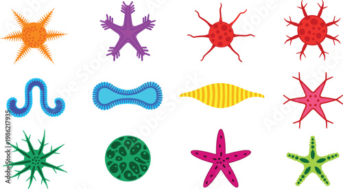 Radiolarian and microscopic marine organism colorful invertebrate aquatic wildlife flat icon set