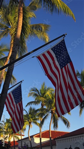 Vertical view of flags with palm trees and airplane in sky