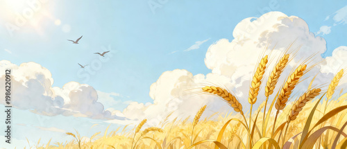 Wheat field under blue sky