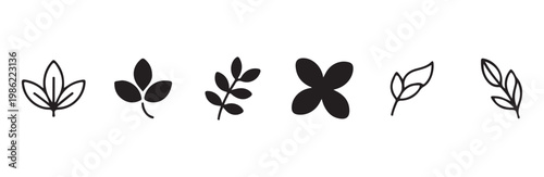 Assorted plant silhouettes and line art branches for decorative borders and natural designs