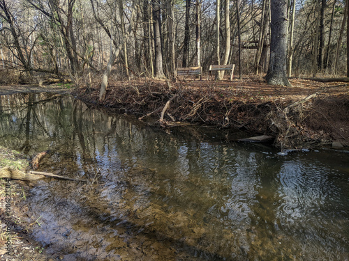 Foto Two benches sit on the edge of a forested creek with sprawling roots and flowing water during a sunny fall day