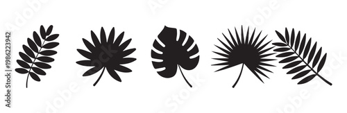Tropical palm frond and leaf silhouettes set on white background