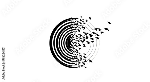 Flock of birds escaping circular pattern.