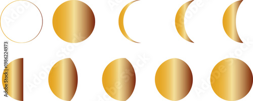 Seed development stages a visual representation of germination and growth process