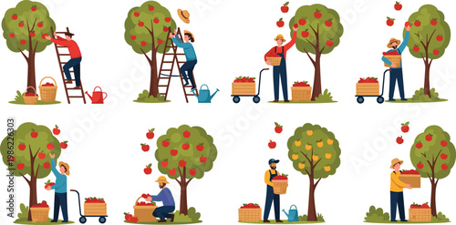 People harvesting apples in orchard collection of flat vector illustrations gardeners picking fruit from trees for agriculture farming autumn season and healthy organic food concept design isolated on