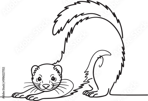 A Simple, Hand-Drawn Line Art Illustration of a Ferret with a Playful Pose and a Bushy Tail