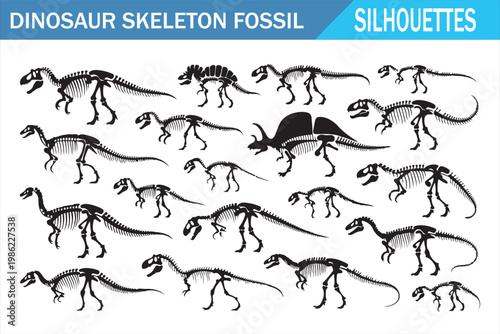 Prehistoric dinosaur skeleton silhouette set with fossil bone figures in black