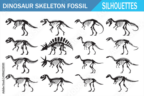dinosaur-skeleton-fossil-silhouettes