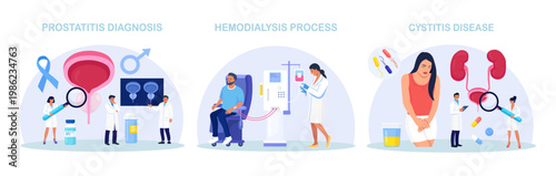 Urinary Tract Infections. Doctor Conducting Hemodialysis and Kidney Transplant. Kidneys Disease Treatment. Nephrology, Urology. Diagnosis of Pyelonephritis, Kidney Stones, Renal Failure, Cystitis