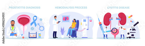 Urinary Tract Infections. Doctor Conducting Hemodialysis and Kidney Transplant. Kidneys Disease Treatment. Nephrology, Urology. Diagnosis of Pyelonephritis, Kidney Stones, Renal Failure, Cystitis