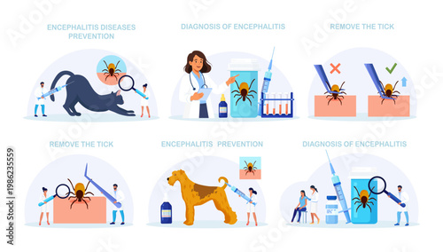 Set of Prevention of Lyme, Encephalitis. Doctor Removes Encephalitis Ticks. Parasite Carrying Disease. First Aid with Infections Transmitted by Mites. Tick attached to skin, removed with tweezers