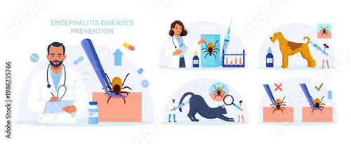 Set of Prevention of Lyme, Encephalitis. Doctor Removes Encephalitis Ticks. Parasite Carrying Disease. First Aid with Infections Transmitted by Mites. Tick attached to skin, removed with tweezers