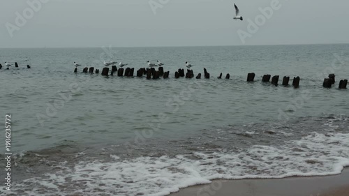 Wooden groynes and large rocks on the seashore. Coastal landscape with rough waves hitting barrier structures. Minimalist marine scenery for nature background.