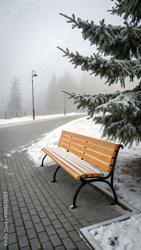 Empty wooden park bench covered in frost on a foggy winter day