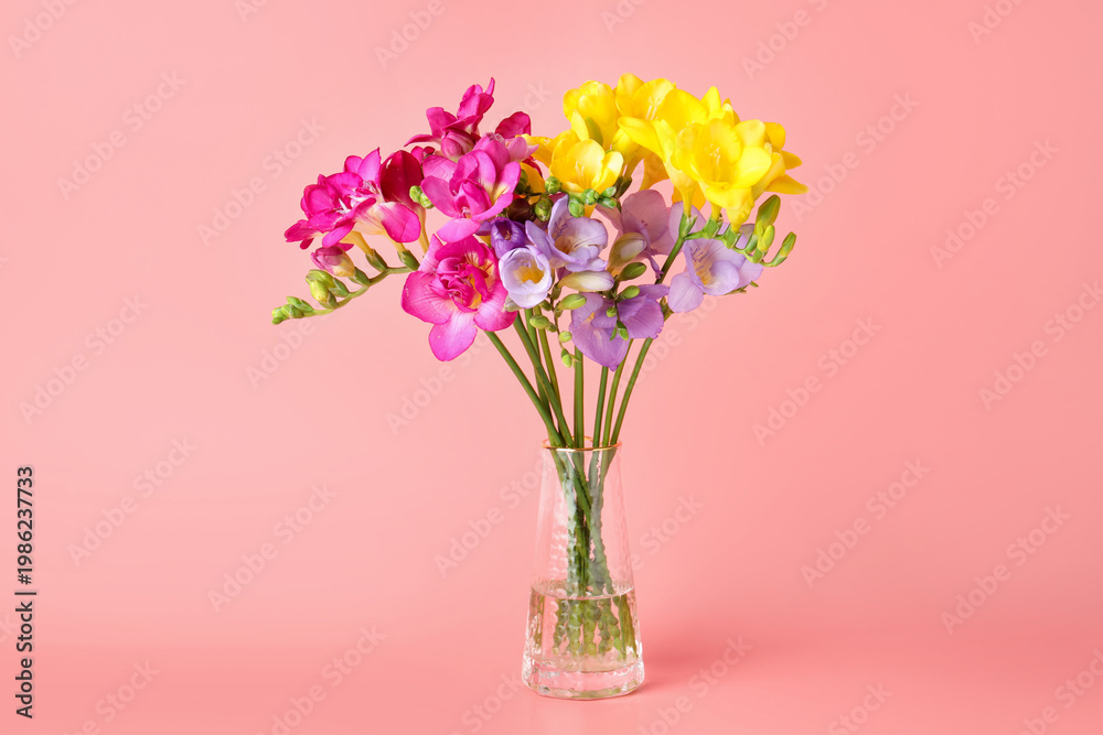 Obraz premium Beautiful freesia flowers in vase on pink background