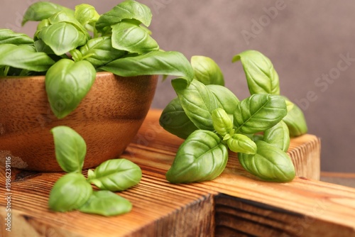 Fresh basil leaves and bowl on wooden board against grey background, closeup