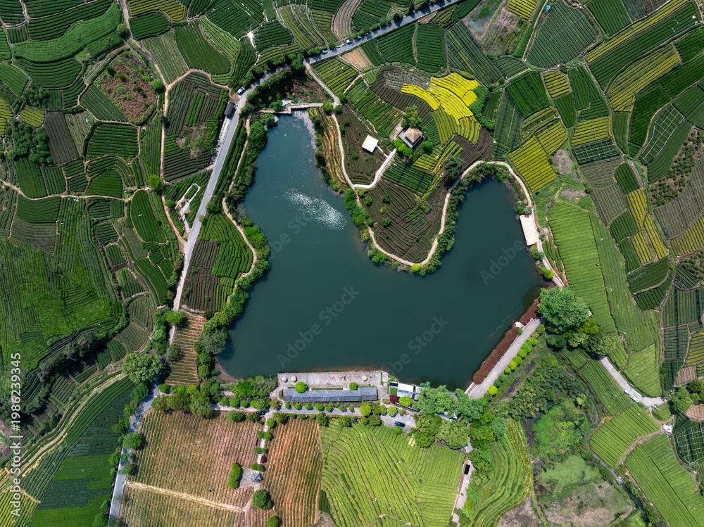 Fototapeta premium Aerial view of terraced fields surrounding a lake in a rural ecological landscape