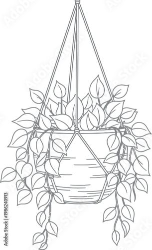 Detailed black and white line art drawing of a beautiful leafy houseplant thriving inside a decorative macrame rope hanger hanging from a simple ceiling hook