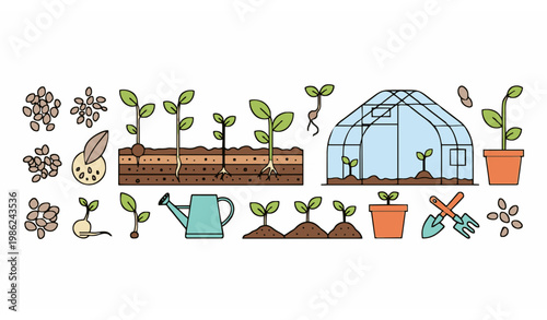 Minimal seeds and plant growth collection with gardening greenhouse and farming vector elements
