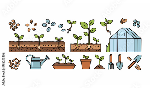 Minimal seeds and plant growth collection with gardening greenhouse and farming vector elements