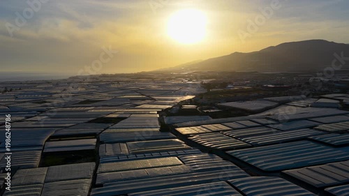 Greenhouses in sunset (Almeria / El Ejido, Spain). Aerial view of agriculture under plastic