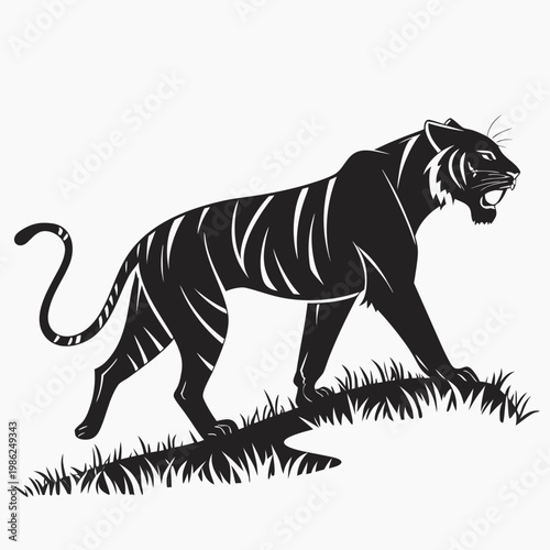 Tiger walking up hill on white background vector.