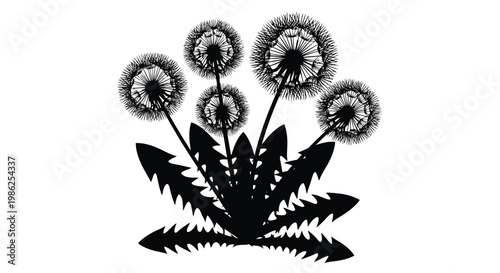 A simple black and white illustration of several dandelion flowers and leaves