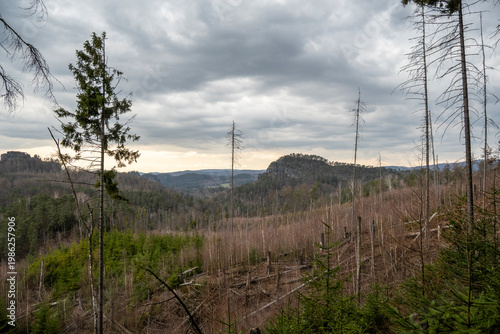 Impressionen vom Wanderweg Großer Reitsteig in der Sächsischen Schweiz 2