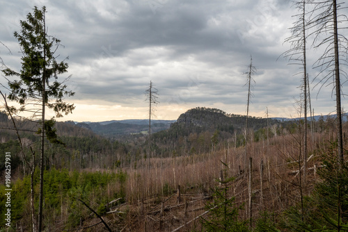 Impressionen vom Wanderweg Großer Reitsteig in der Sächsischen Schweiz 1