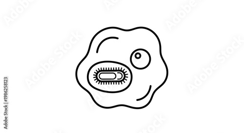 Microscopic Amoeba Engulfing Bacteria Cell - Outline Icon