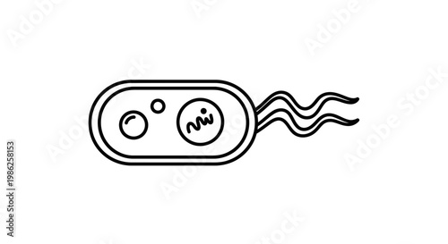 Microscopic View of a Single Bacterium with Flagella, Scientific Illustration