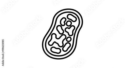 Mitochondrion icon, cell organelle, energy production, science, biology, vector illustration