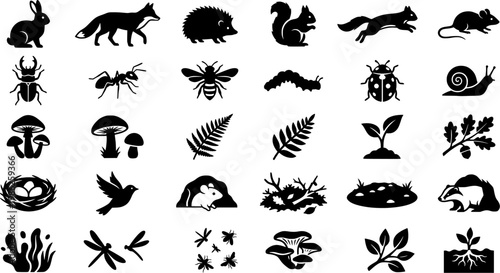 Silhouette icons of forest animals, insects, plants, and mushroo

