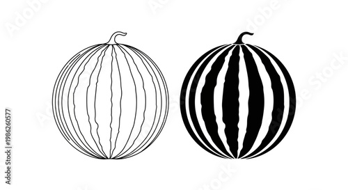 Two round watermelons are illustrated in contrasting line art styles one with delicate lines and the other a bold silhouette high quality professional detailed