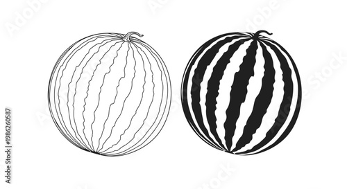 Two whole watermelons are presented one with light shading and the other a dark contrast creating a striking silhouette high quality professional detailed modern