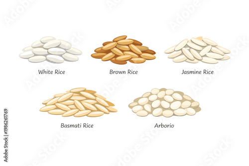Various types of rice grains set including white, brown, jasmine, basmati, and arborio rice. Colorful flat vector icons for food, cooking, culinary ingredients, and healthy nutrition design.