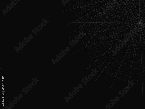 Delicate Spider Web Pattern Geometric Background