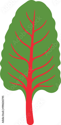 Green leaf with red veins plant nature