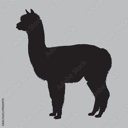 alpaca side profile fluff silhouette vector design art and illustration