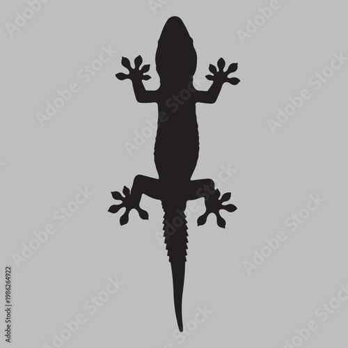 gecko toe cling climb silhouette vector design art and illustration