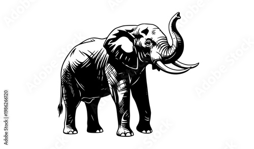 Elephant silhouette vector black white wildlife safari animal illustration