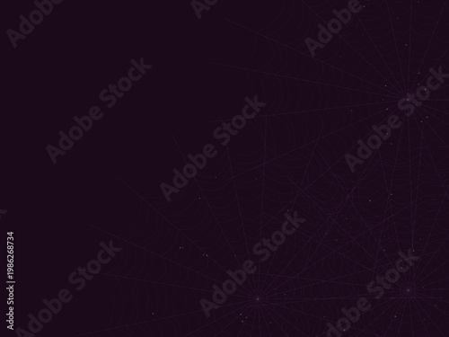 Radial Spider Web Cobweb Silk Thread Design