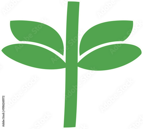 Green plant with four leaves leaf symbol nature