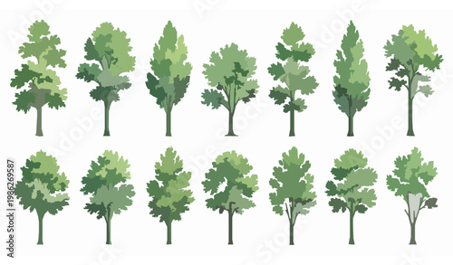 Watercolor tree collection vector with green botanical elements for landscape design and architectural drawings isolated on white